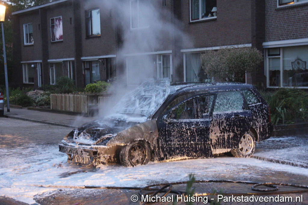 22-06-2015 Troelstrastraat 046.JPG