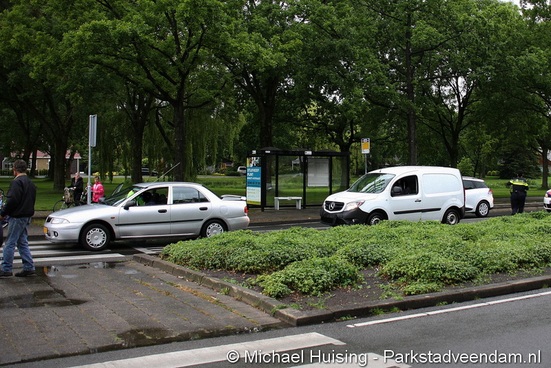 22-06-2015 kop-staart 002.JPG