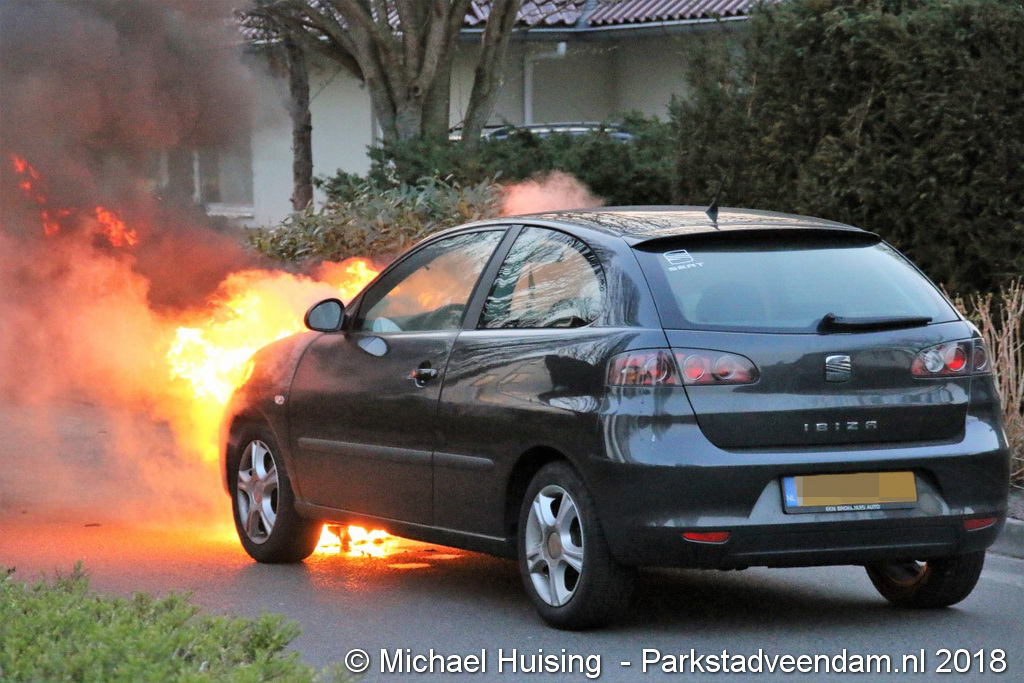 11-04-2018 Kleine Zilverreiger (4) (Medium).jpg