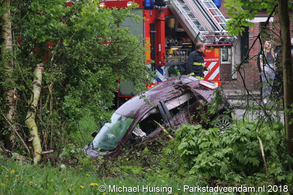 IMG_3525 (Medium).JPG