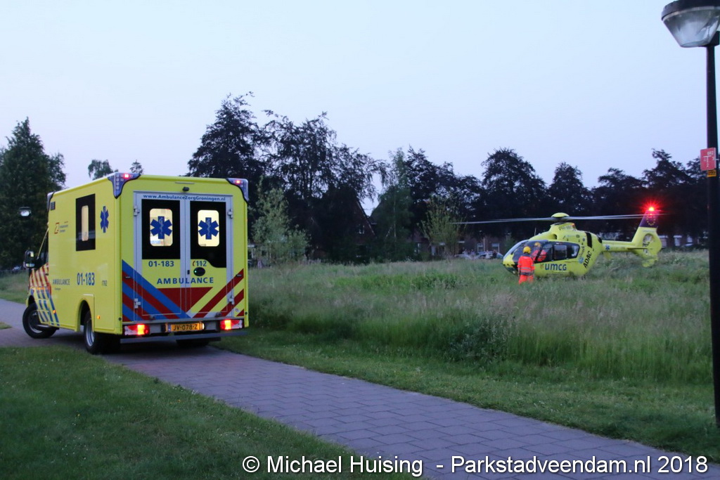 28-05-2018 Sterrenboschlaan Wildervank (12) (Medium).JPG