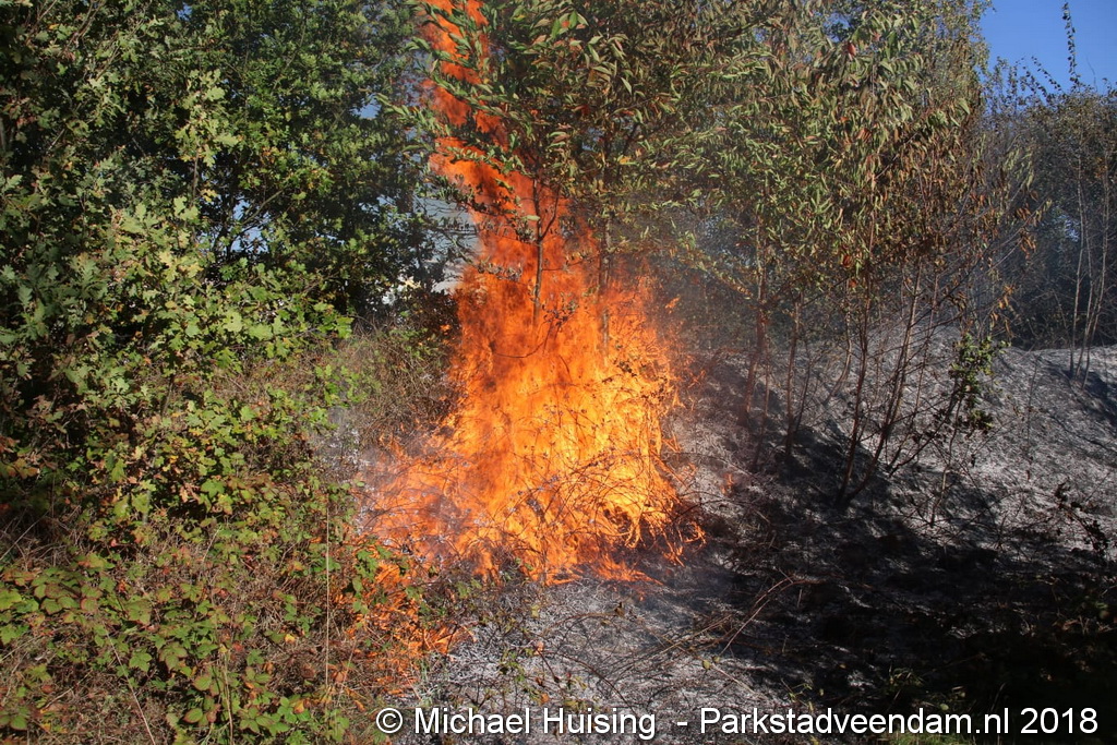 WhatsApp Image 2018-10-14 at 15.14.06 (1).jpg