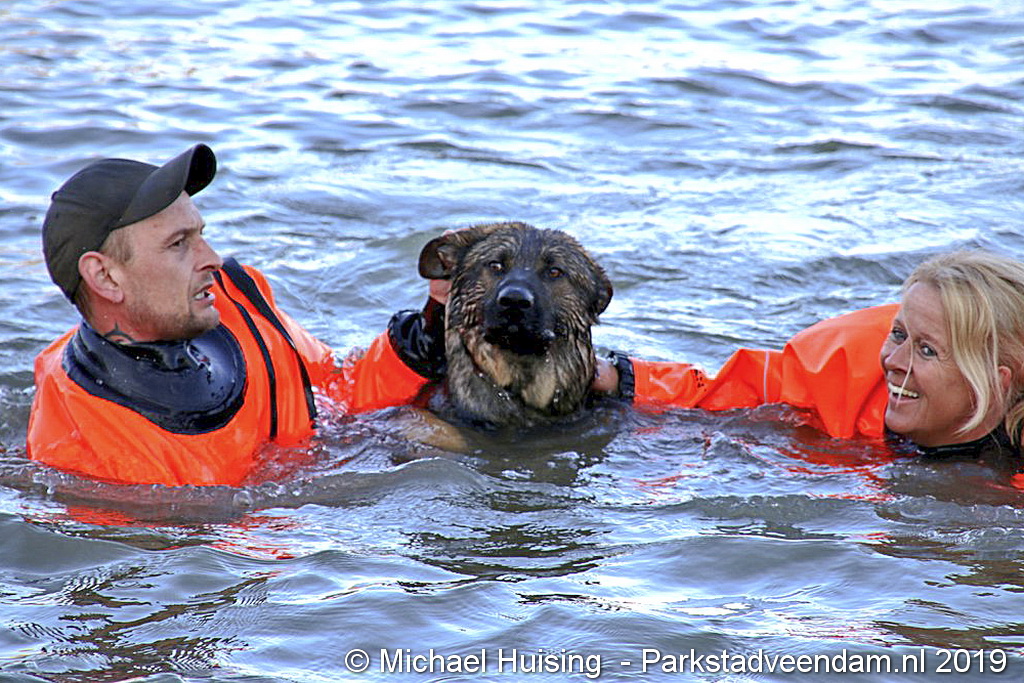 WhatsApp Image 2019-04-10 at 20.26.06 (1).jpg