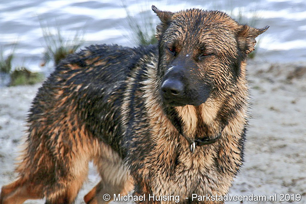 WhatsApp Image 2019-04-10 at 20.26.06.jpg