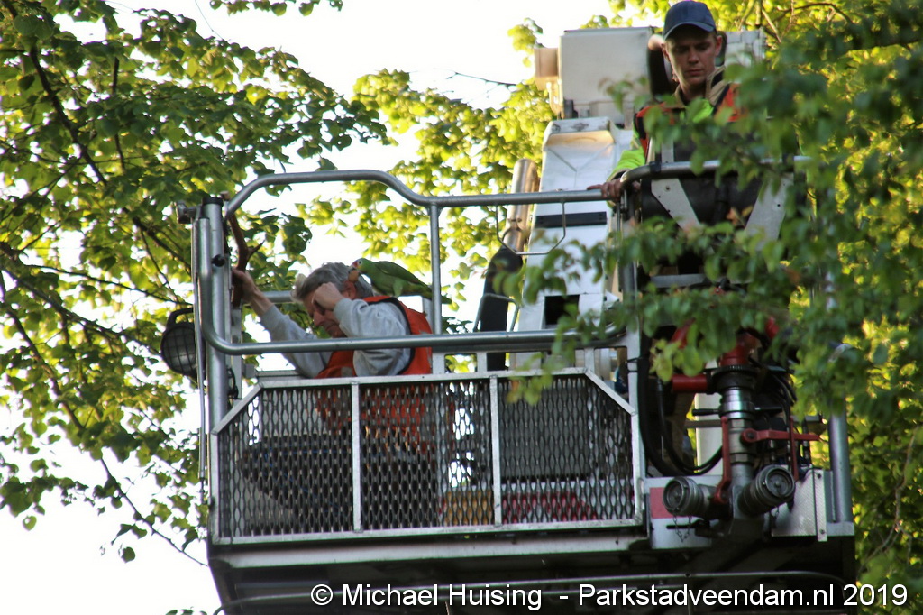 WhatsApp Image 2019-05-31 at 21.15.39 (1).jpeg