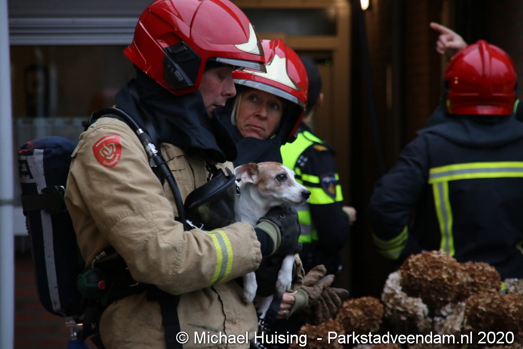 WhatsApp Image 2020-01-05 at 15.56.23.jpeg