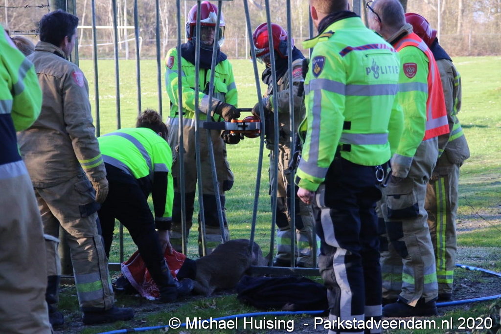 WhatsApp Image 2020-03-22 at 17.19.34 (2).jpeg