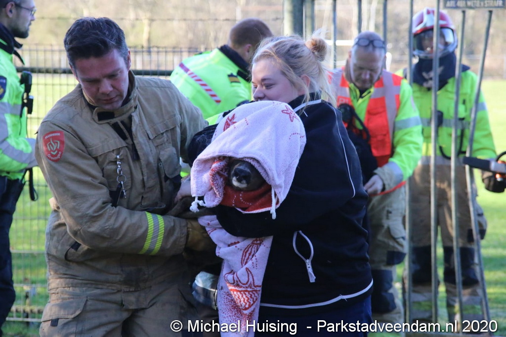 WhatsApp Image 2020-03-22 at 17.19.34 (3).jpeg