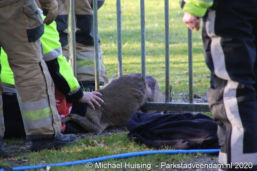 WhatsApp Image 2020-03-22 at 17.19.34.jpeg