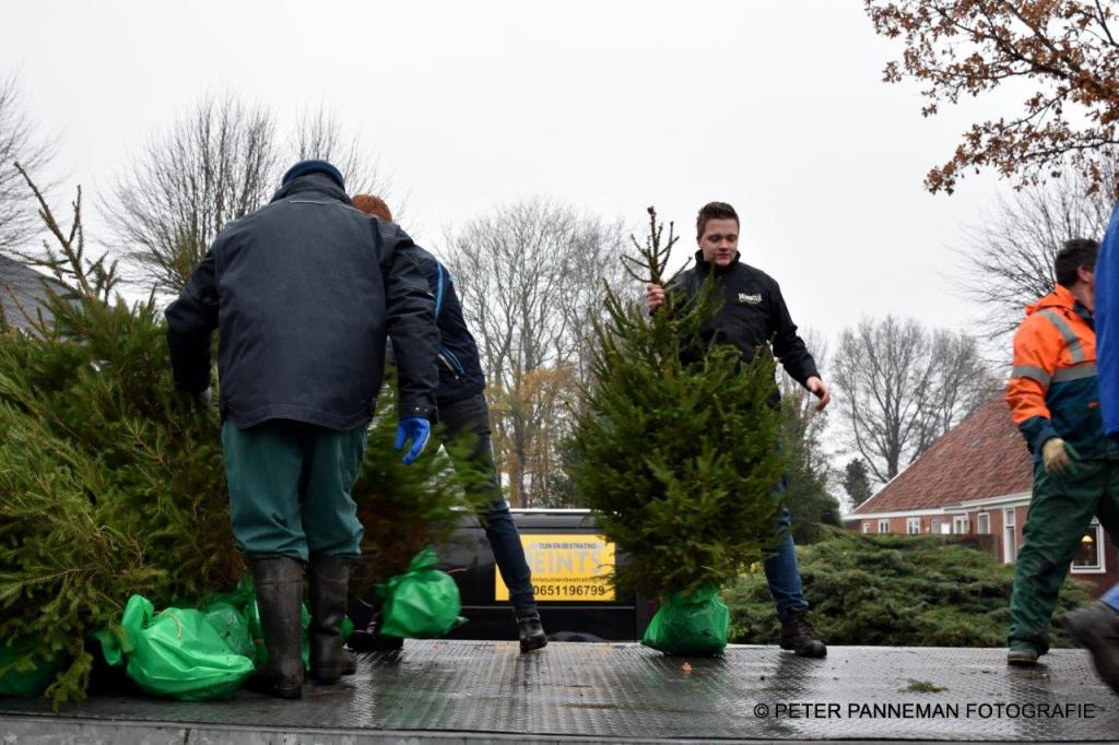 Kerstbomen Zuidwending (4).jpg