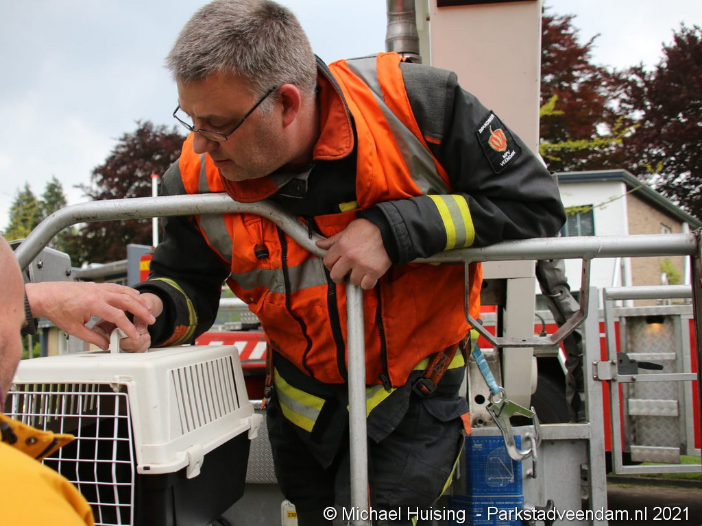 WhatsApp Image 2021-05-20 at 20.01.37.jpeg