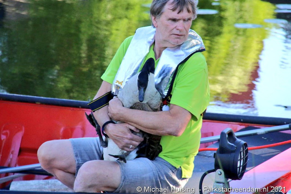 WhatsApp Image 2021-06-07 at 19.13.36 (5).jpeg