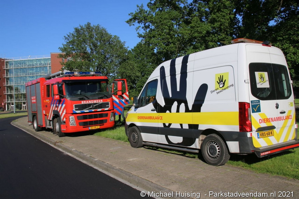 WhatsApp Image 2021-06-07 at 19.14.37.jpeg