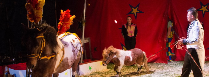 Persfoto 01 © Circus Bossle.jpg