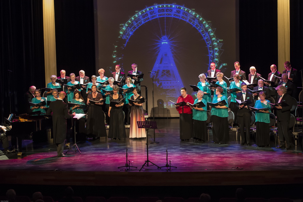 _OVW archief 2017  Nieuwjaars concert DSC2868.jpg