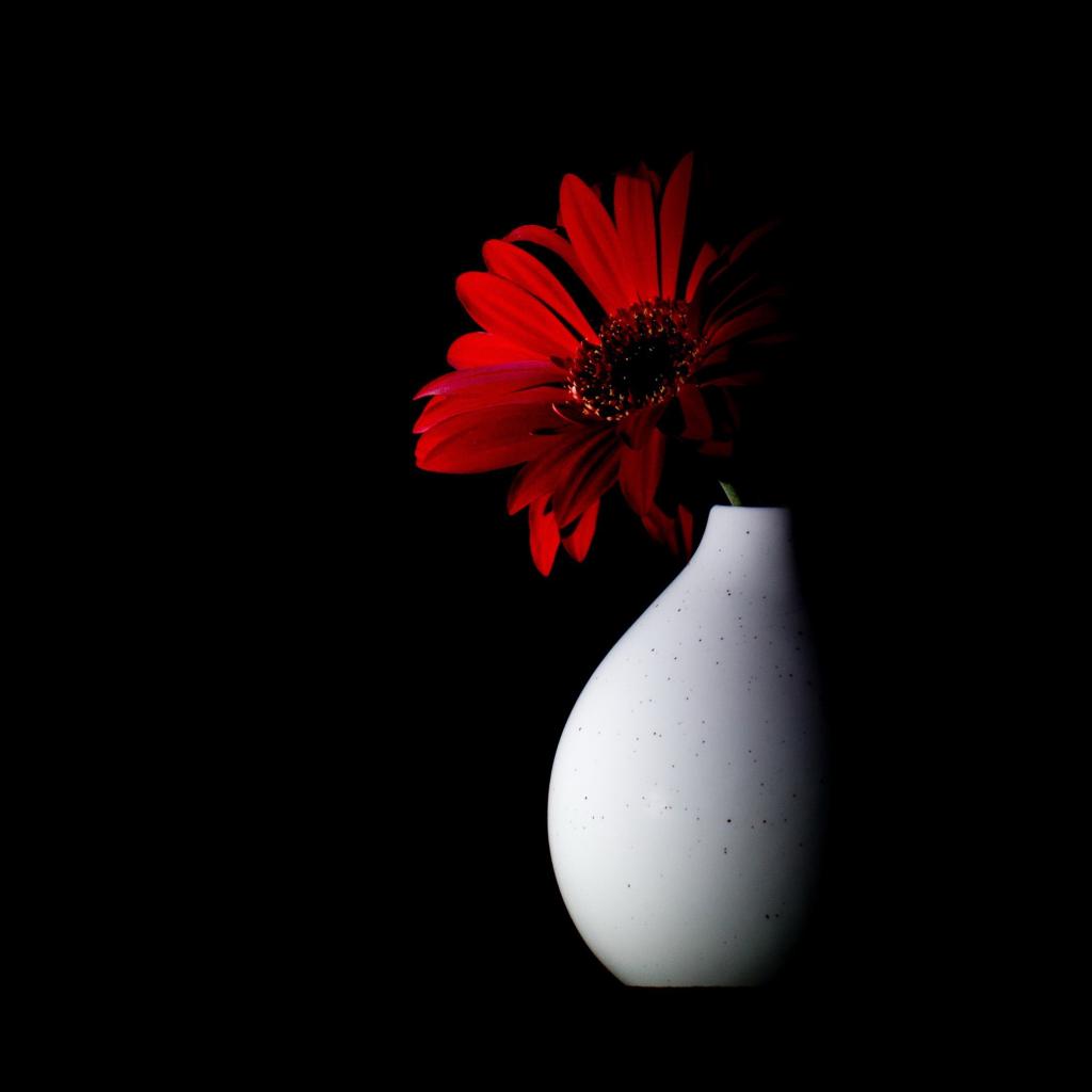 September expo Expo Margriet02.jpg