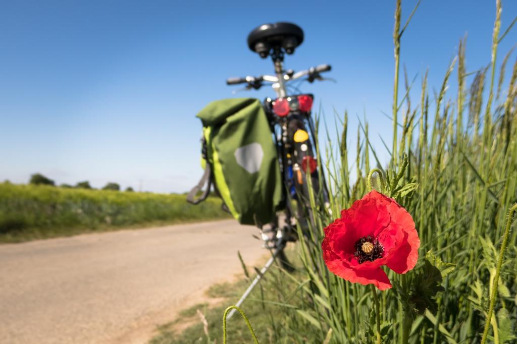 to-go-biking-5178398_1280.jpg