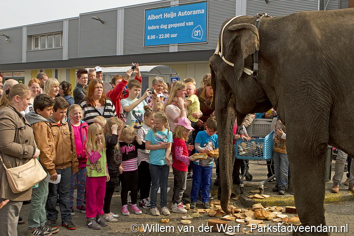 20140424_Olifanten_circus_Renz_MG_4543.jpg