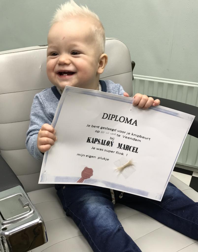 Knipdiploma.jpg