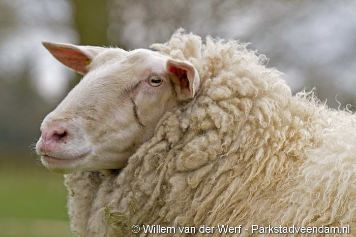 20110414_Nieuwe_beheerder_kinderboerderij_MG_3825.JPG