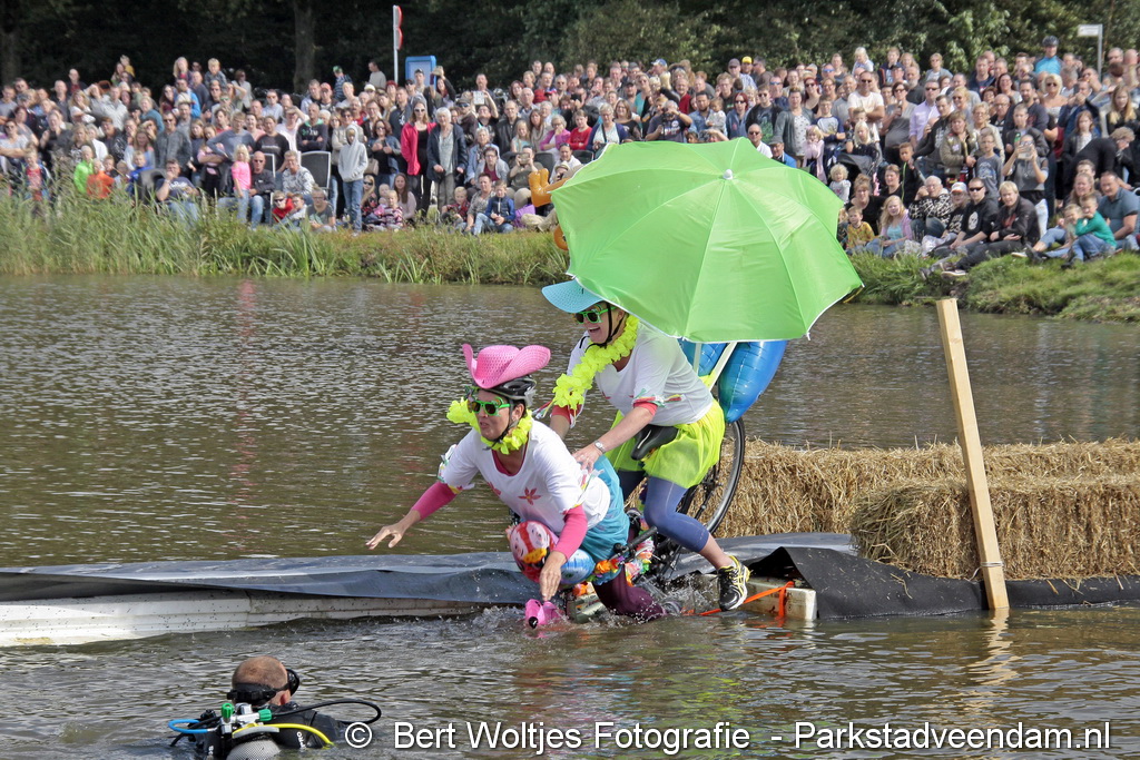 (K38) Rap over de plas Borgerswold.jpg