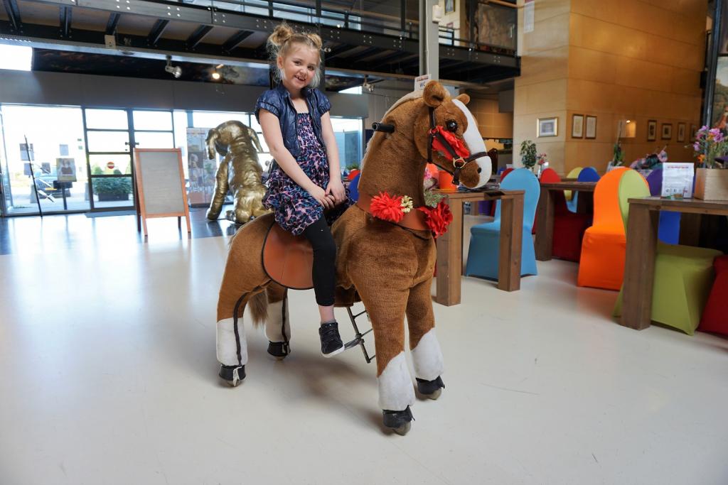 Ponyrijden Doe Museum Veendam klein.jpg