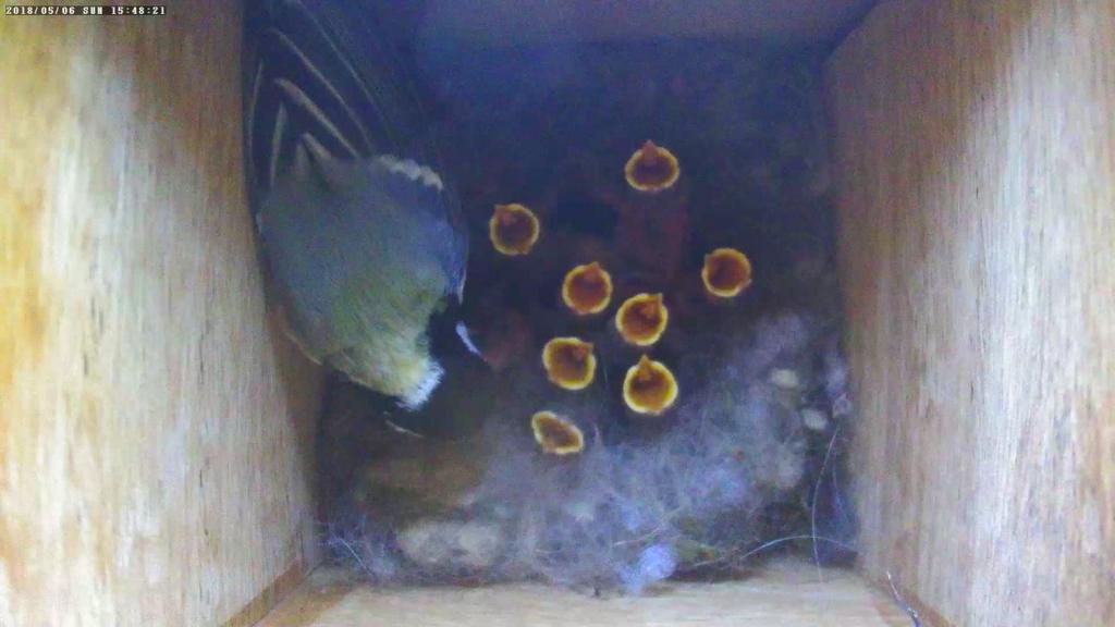 WhatsApp Image 2018-05-09 at 09.25.10.jpeg