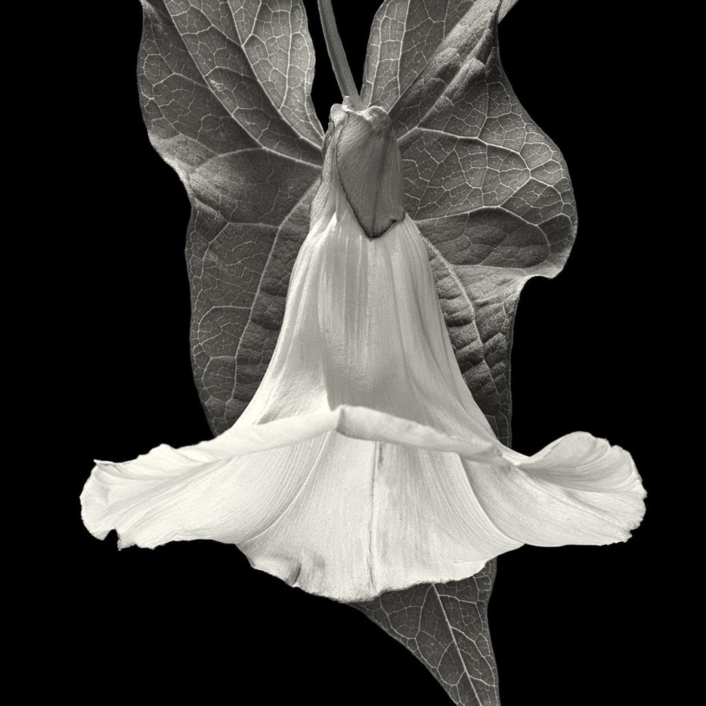 Maart 29 Henk feiken FOTO 002_0.jpg