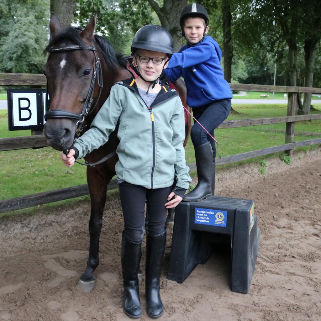 PERS - Opstapblokken G-ruiters.JPG