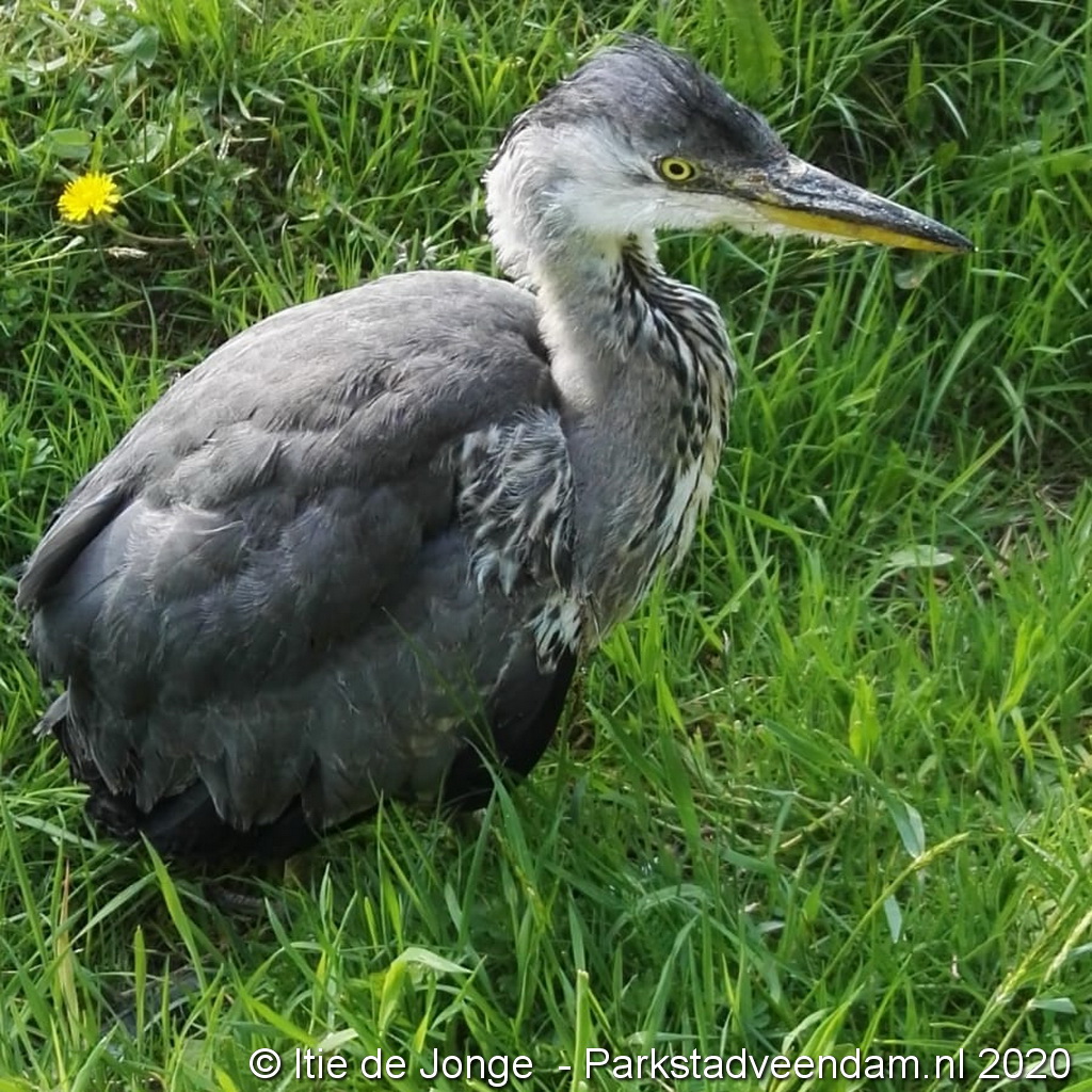 WhatsApp Image 2020-05-07 at 19.07.24_1.jpeg