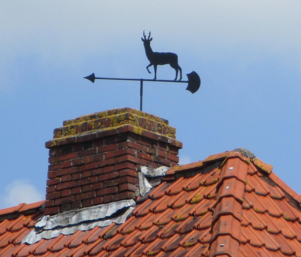 Foto bij speurtocht Veenkoloniaal Museum Veendam.JPG