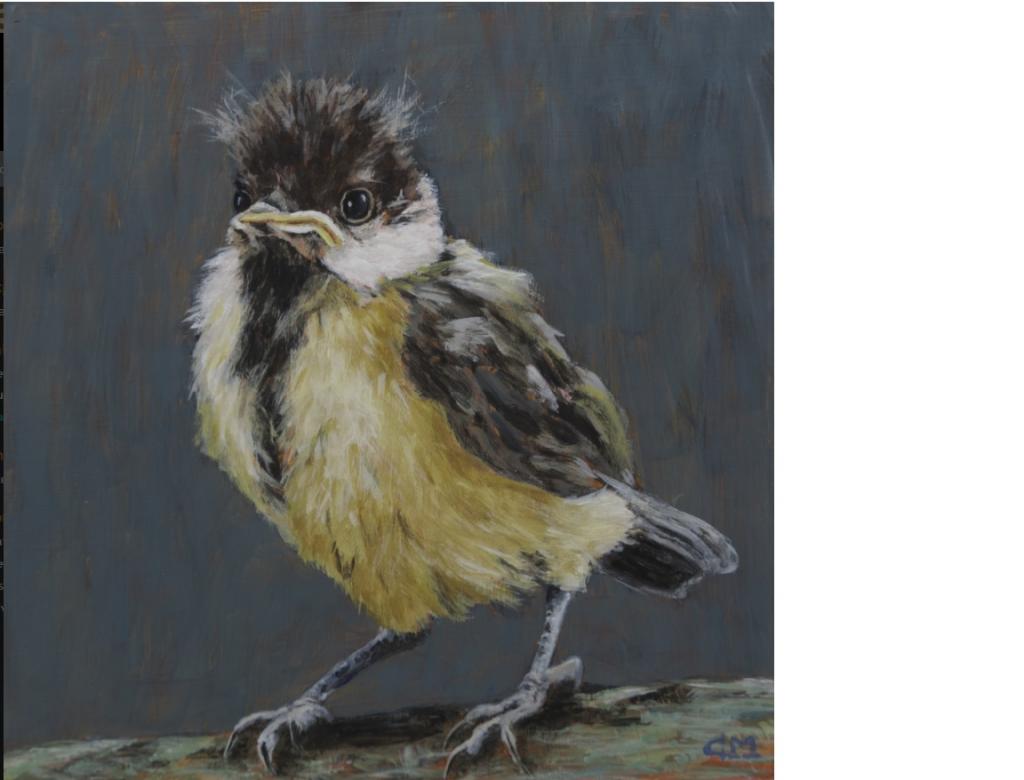 jonge koolmees - Coba Martens.png