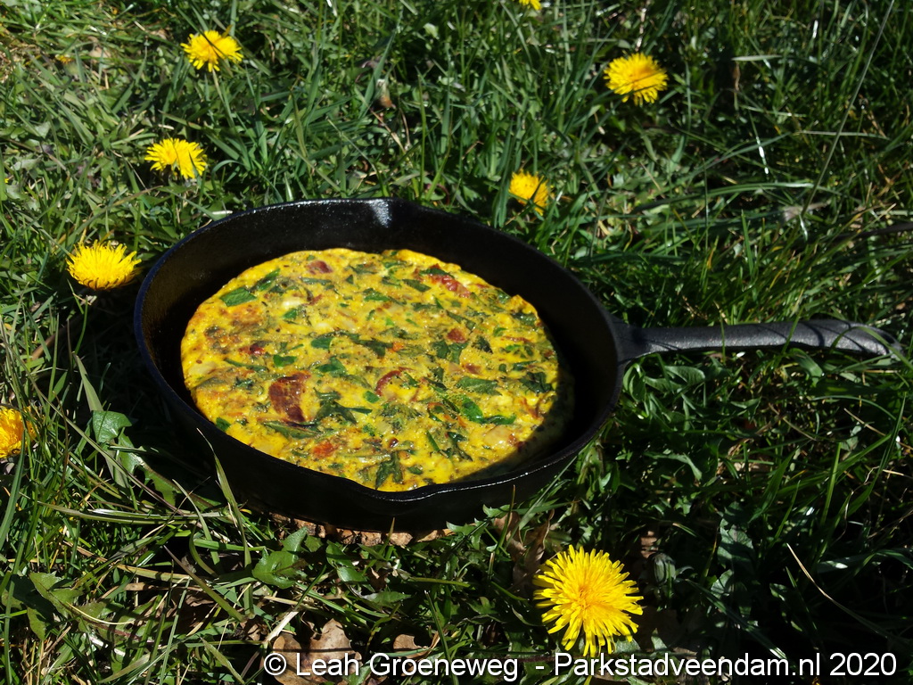 paardenbloemomelet (2).jpg