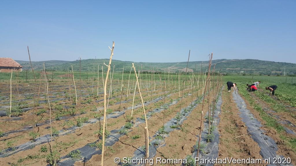 selectie facebook (27).JPG