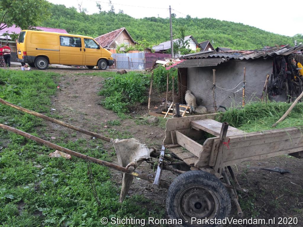 selectie facebook (72).JPG