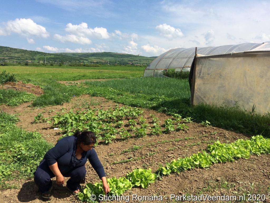 selectie facebook (78).JPG