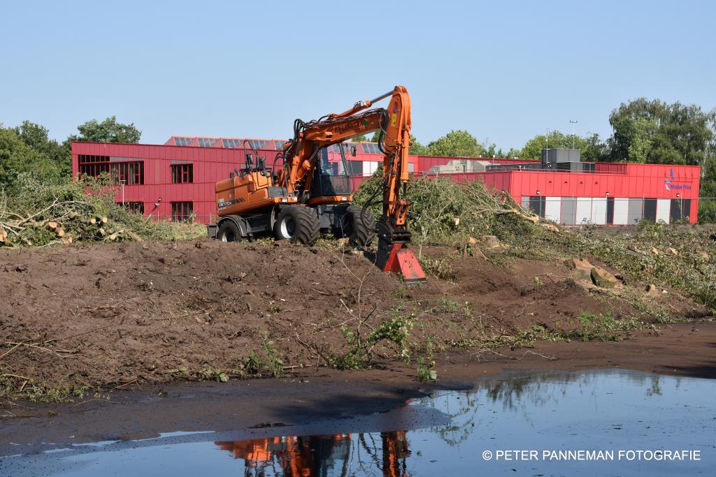 Bomenkap Sport-Leerpark.JPG