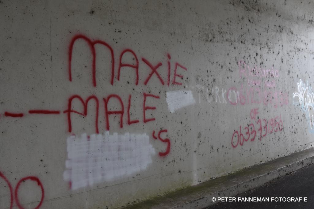 Viaduct Wdv.dallen (4).JPG