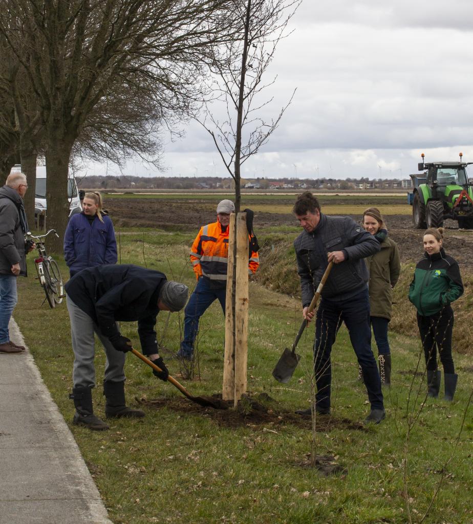 beplanten wijkenstelstel Wildervank.jpg