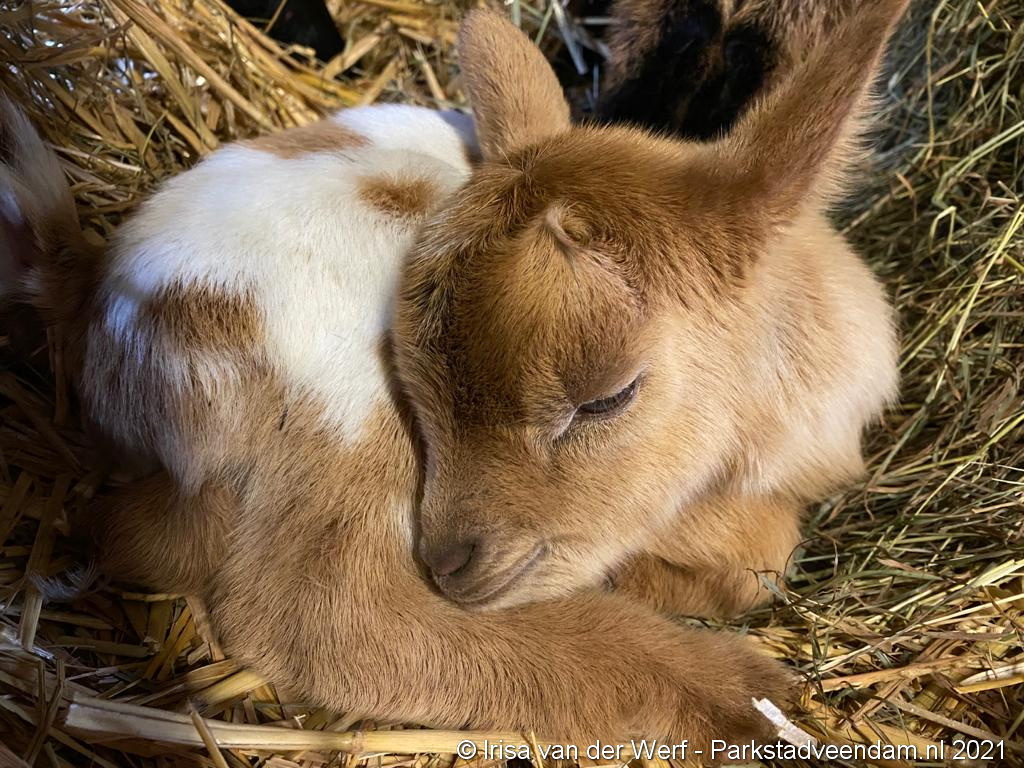 WhatsApp Image 2021-03-18 at 17.25.27.jpeg