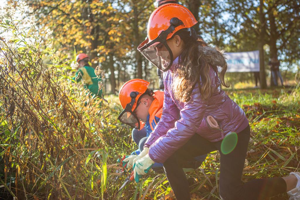 Natuurwerkdag - rechtenvrij (1).jpg