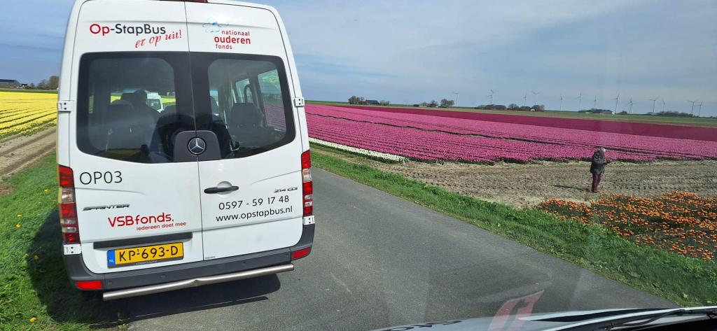 2-Bus met bloemenveld.jpg