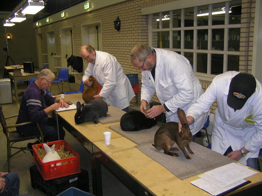 20151114_grootste Kleindiershow _nieuw 044.jpg