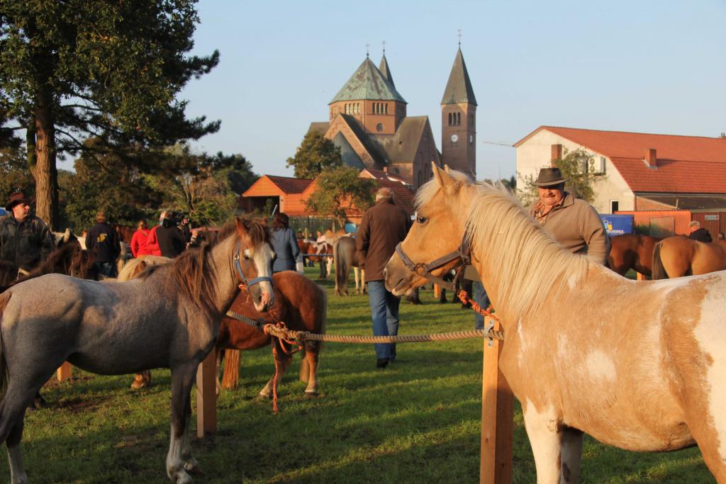 160824 - Rheder Markt.jpg