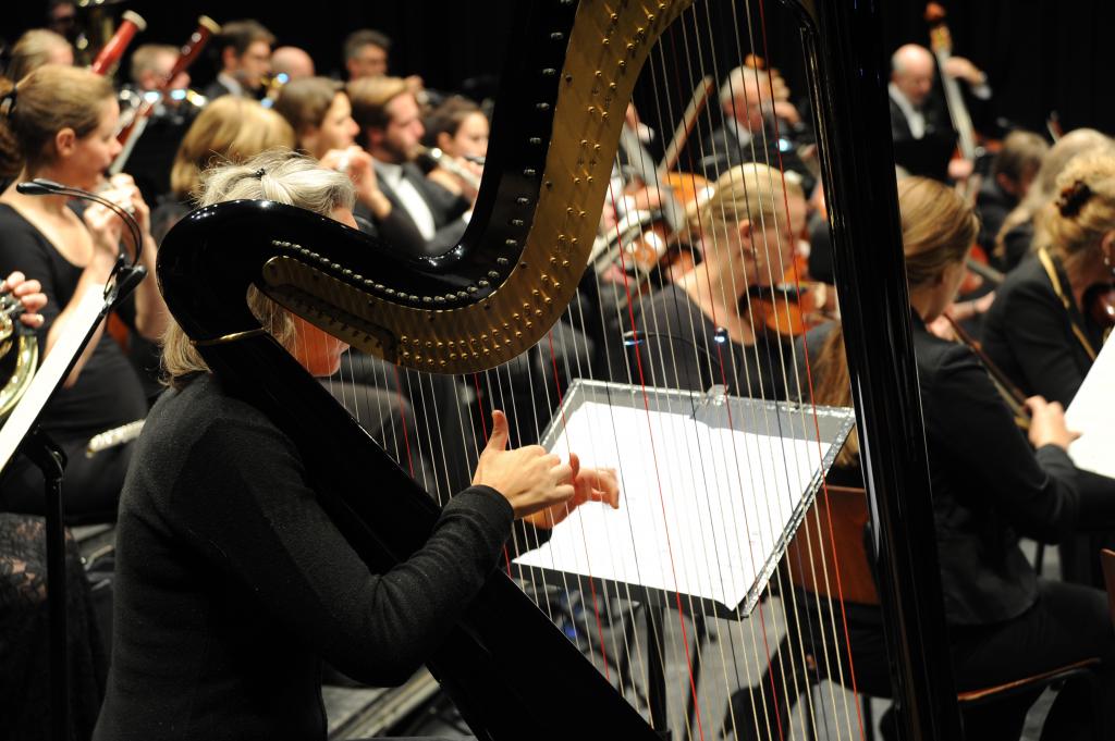 Veenkoloniaal Symfonie Orkest_DSC_9734.jpg