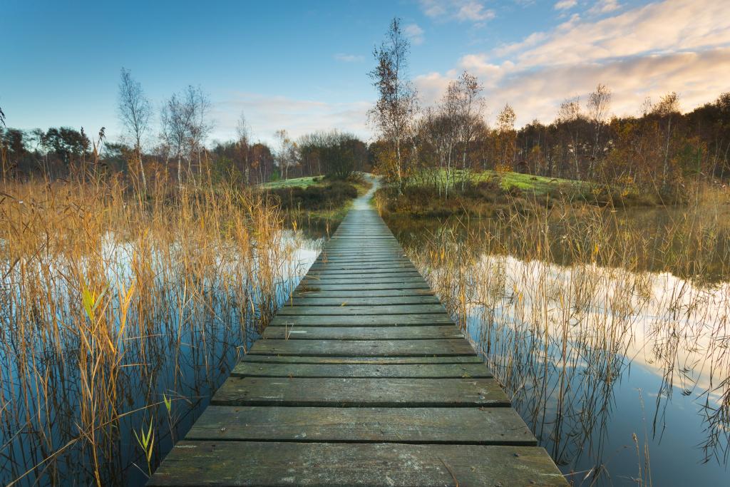 Natuurpark tussen de Venen - Marketing Groningen.jpg