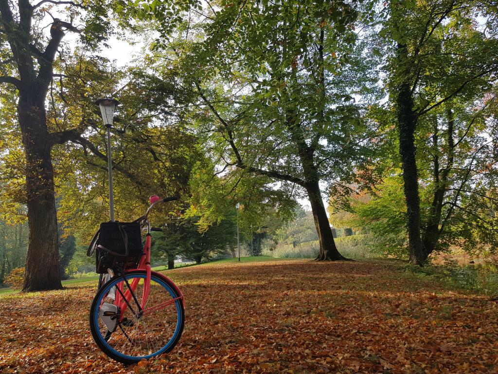 herfst in veendam - Wendy Suk.jpg