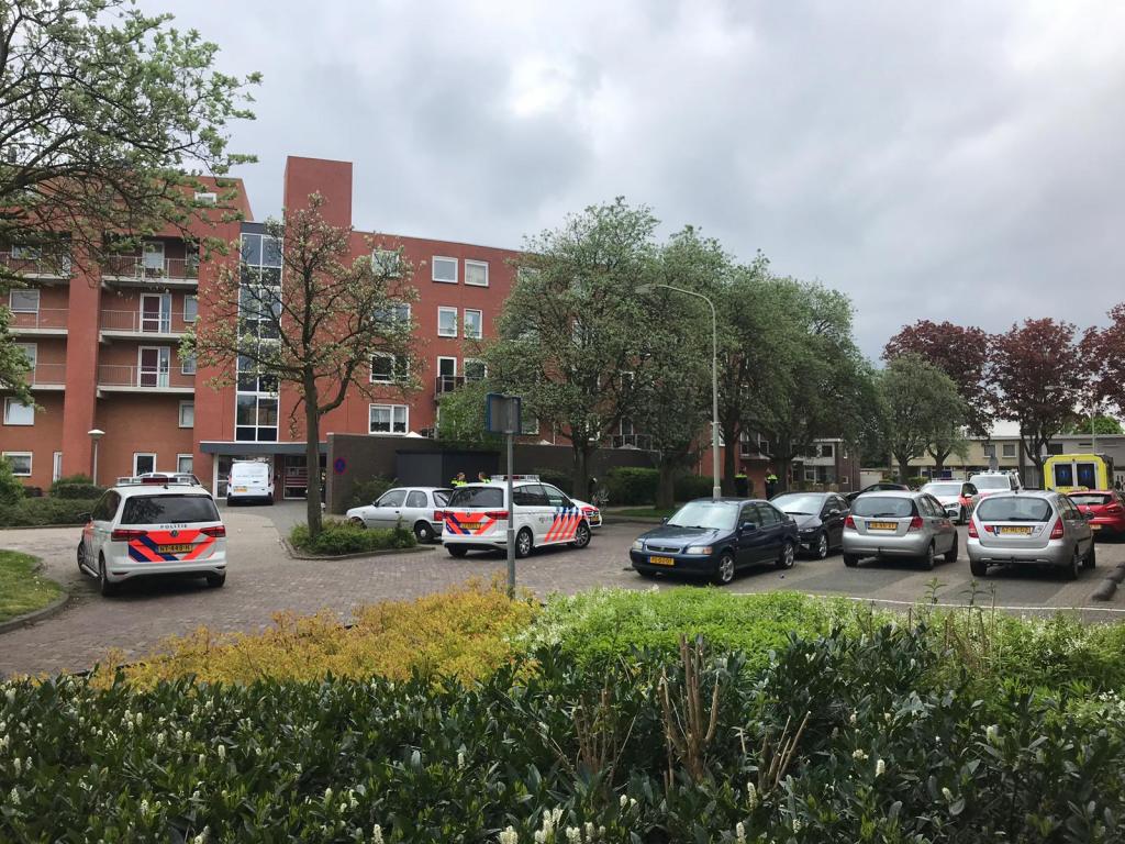 WhatsApp Image 2019-04-29 at 11.46.05.jpeg