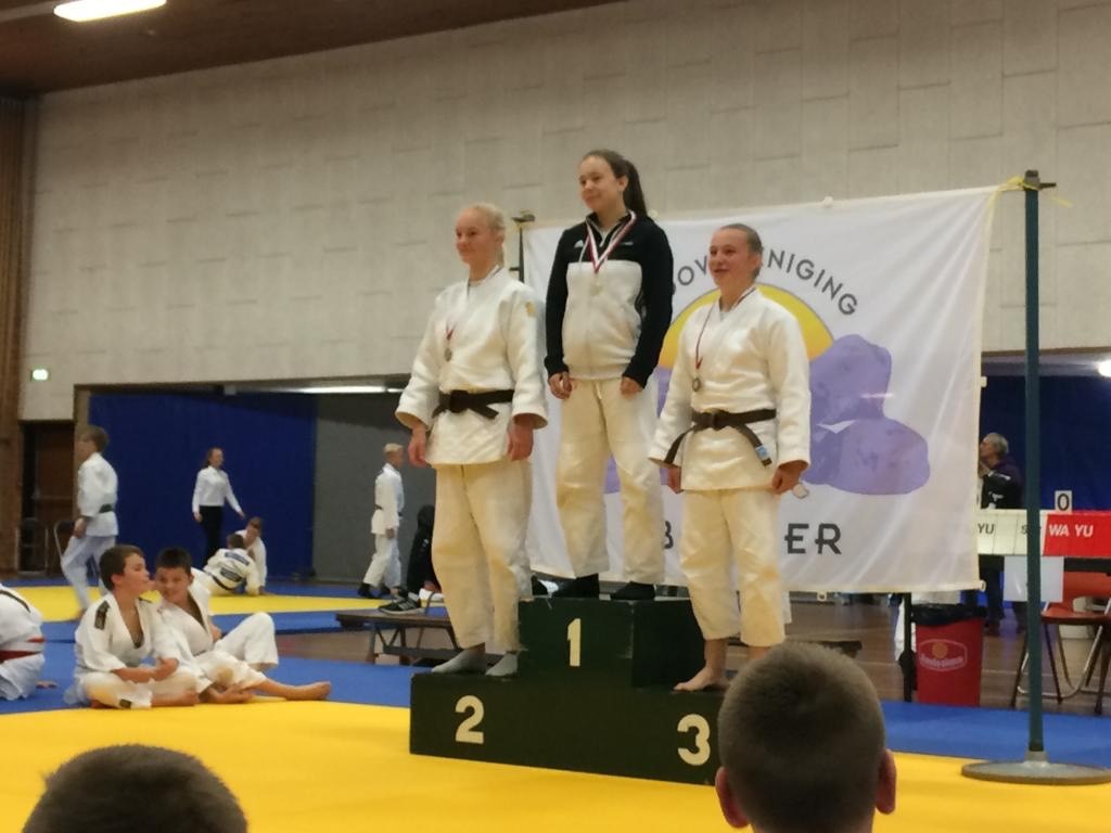 Hunebedtoernooi in Borge.jpg