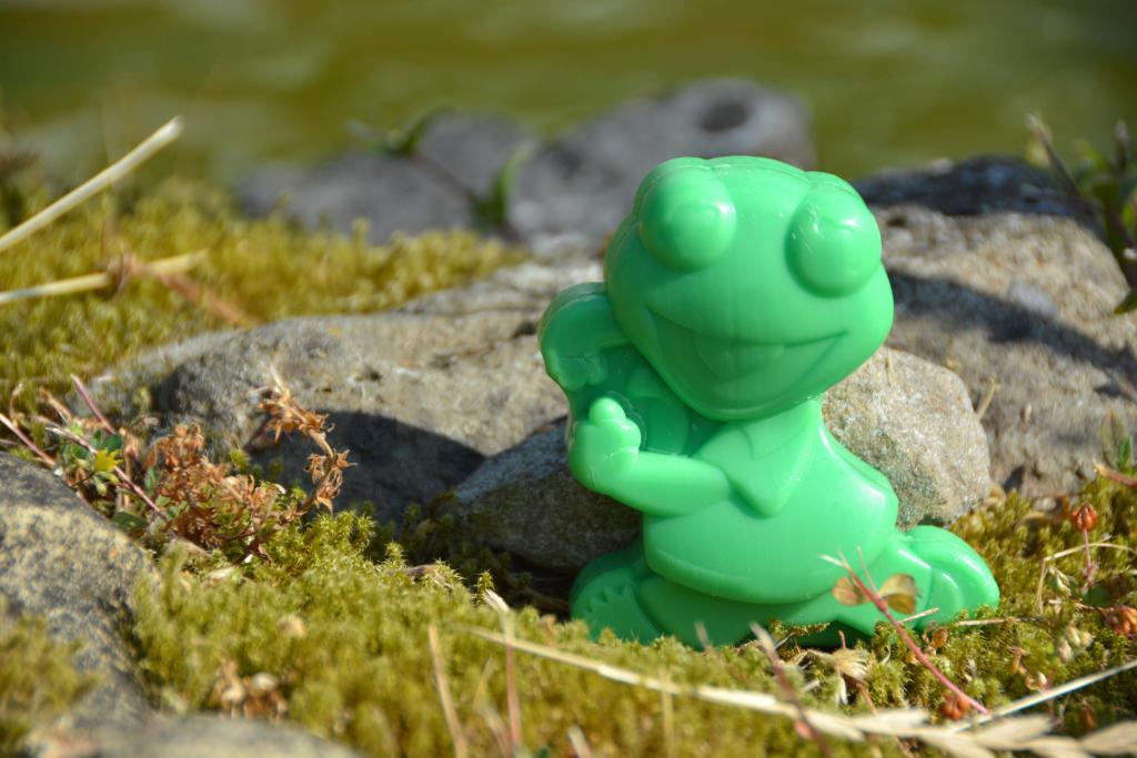 Kermit de Kikker als Opkikkertje.JPG